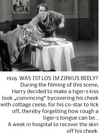 1926. WAS IST LOS IM ZIRKUS BEELY? During the filming of this scene,  Harry decided to make a tigers kiss  look convincing bycovering his cheek  with cottage ceese, for his co-star to lick  off, thereby forgetting how rough a  tigers tongue can be A week in hospital to recover the skin  off his cheek.